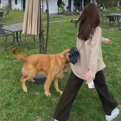 犯罪警匪